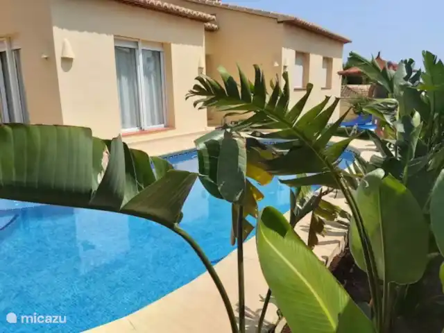 Zicht op het zwembad